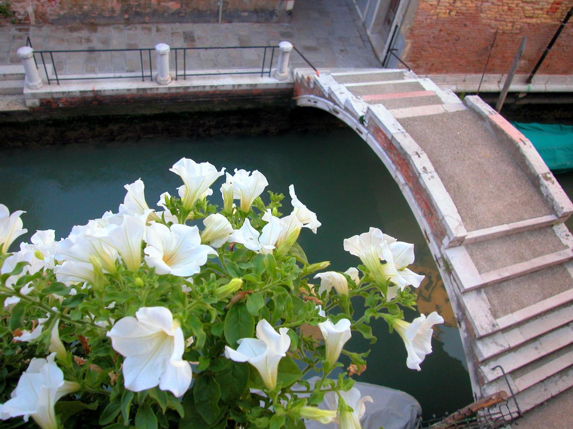 3749 Pontechiodo Bed & Breakfast Venesia Ruang foto