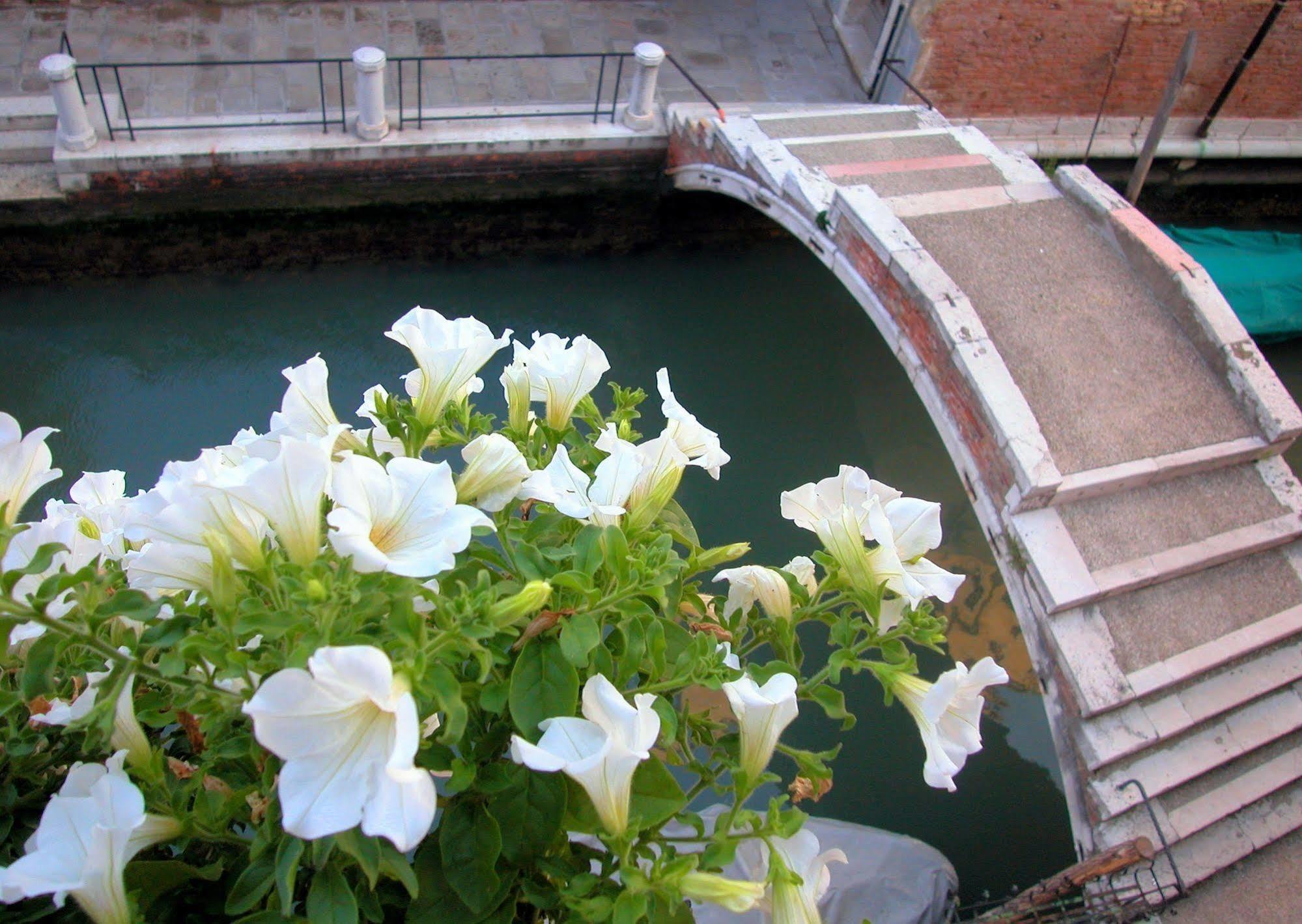 3749 Pontechiodo Bed & Breakfast Venesia Bagian luar foto